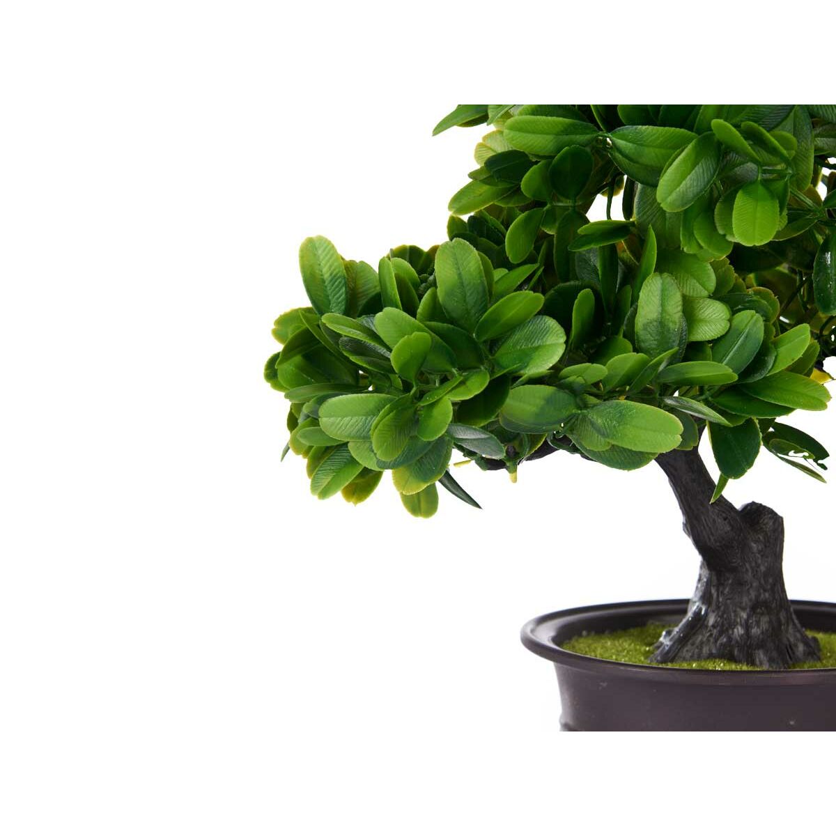 Dekorativ växt Ibergarden Plast Bonsai 27 x 28 x 14 cm (8 antal) - 2