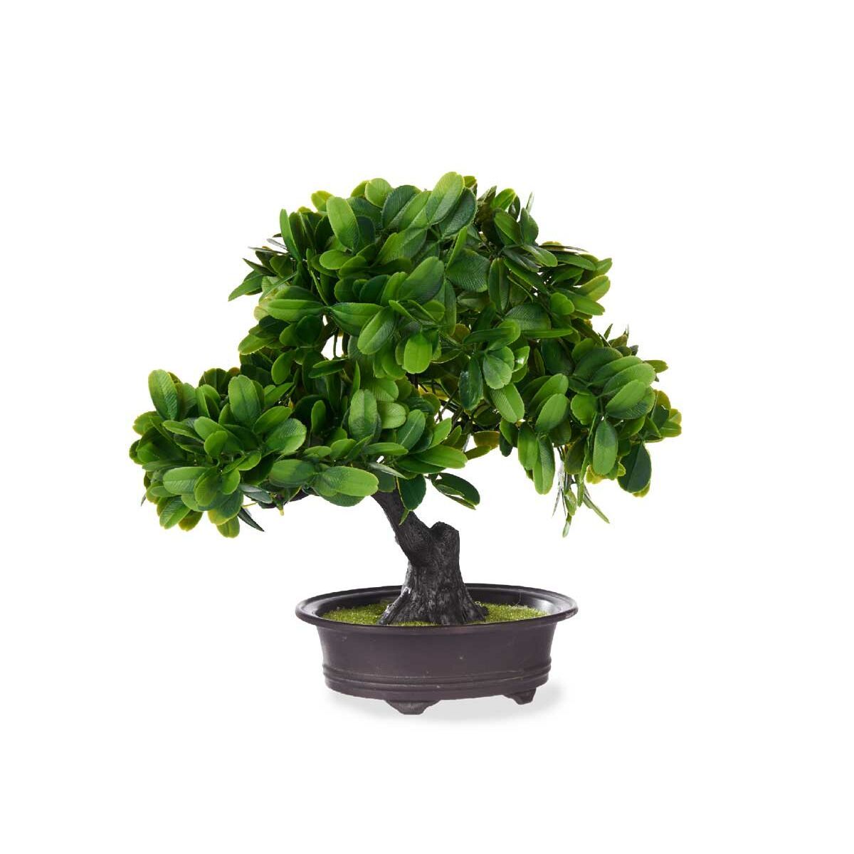 Dekorativ växt Ibergarden Plast Bonsai 27 x 28 x 14 cm (8 antal) - 3