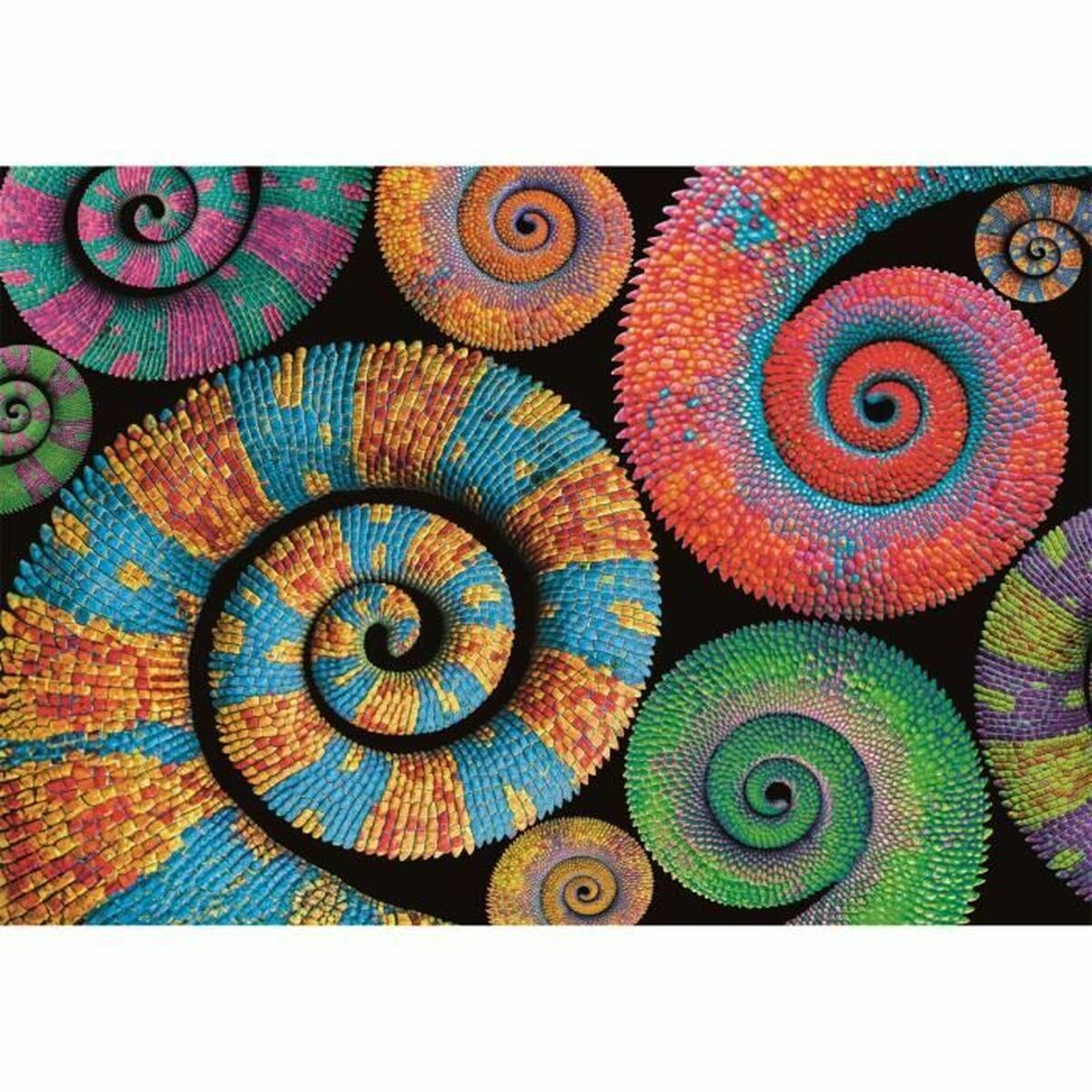 Pussel Clementoni Colorboom Curly 500 Delar - 2