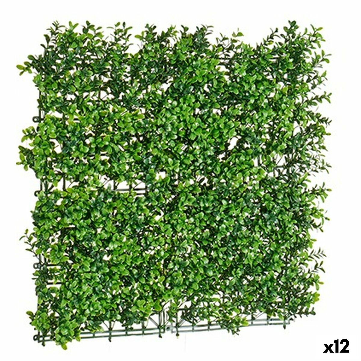 Vertikalt trädgårdskit Grön 50 x 5 x 50 cm (12 antal)