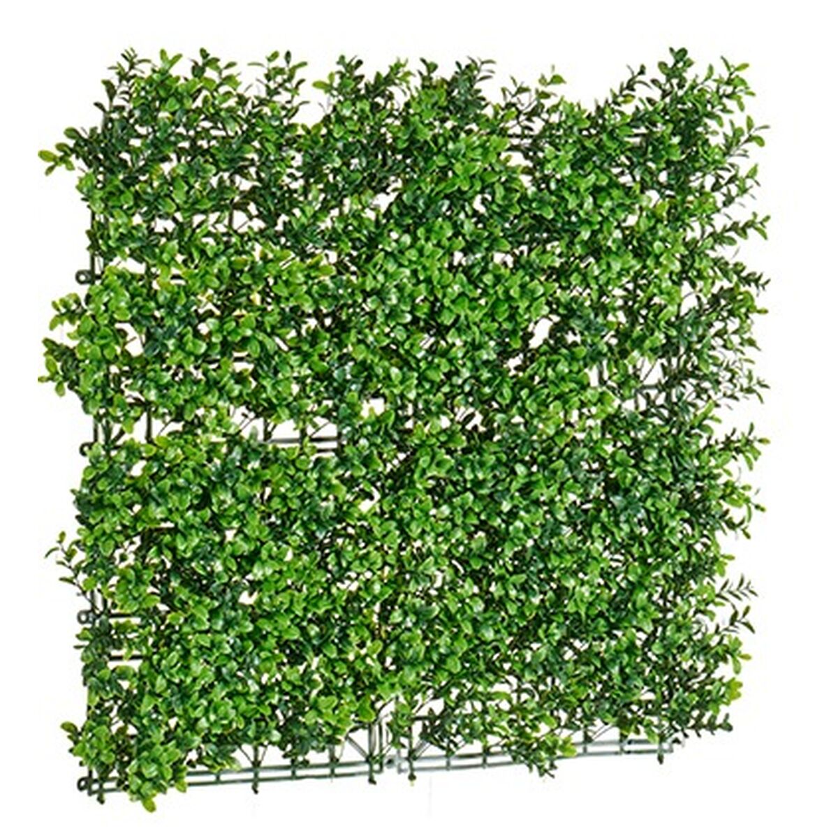 Vertikalt trädgårdskit Grön 50 x 5 x 50 cm (12 antal) - 2
