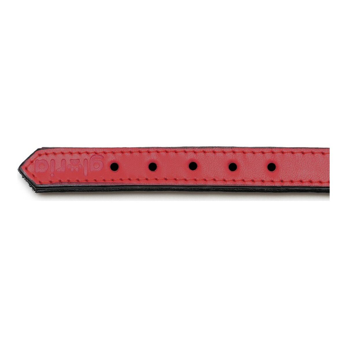 Hundhalsband Gloria Vadderad Röd (45 x 2 cm) - 19