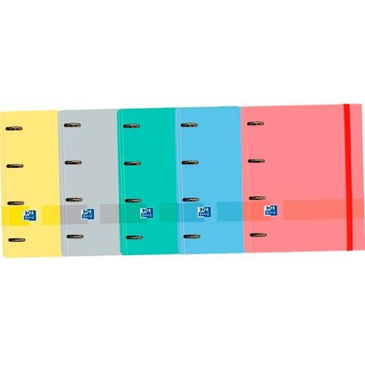 Ringpärm Oxford EuropeanBinder A4+ (10 antal) - 2