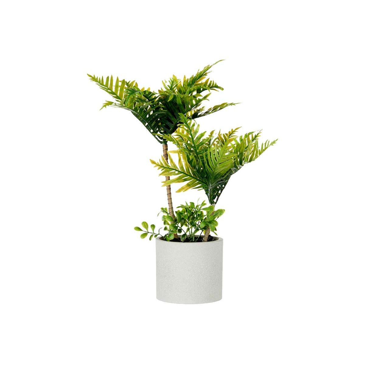 Dekorativ växt Ibergarden Plast Cement Palmträd 12 x 45 x 12 cm 22 x 40 x 22 cm 16 x 42,5 x 14 cm (6 antal) - 5