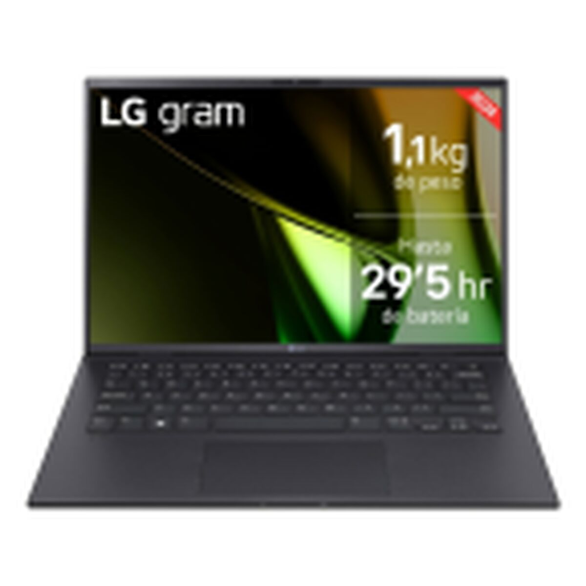 Bärbar dator LG 14" 32 GB RAM 1 TB SSD