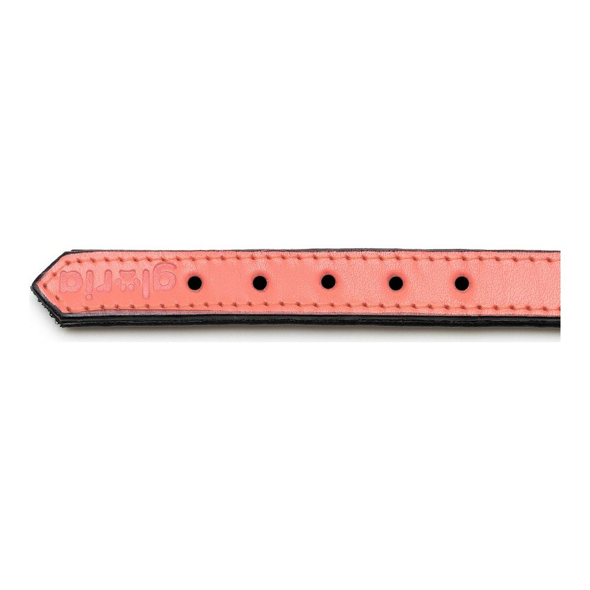 Hundhalsband Gloria Vadderad Korall (50 x 2,5 cm) - 11