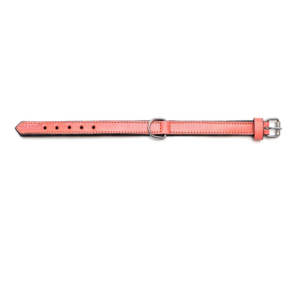 Hundhalsband Gloria Vadderad Korall (50 x 2,5 cm) - 7