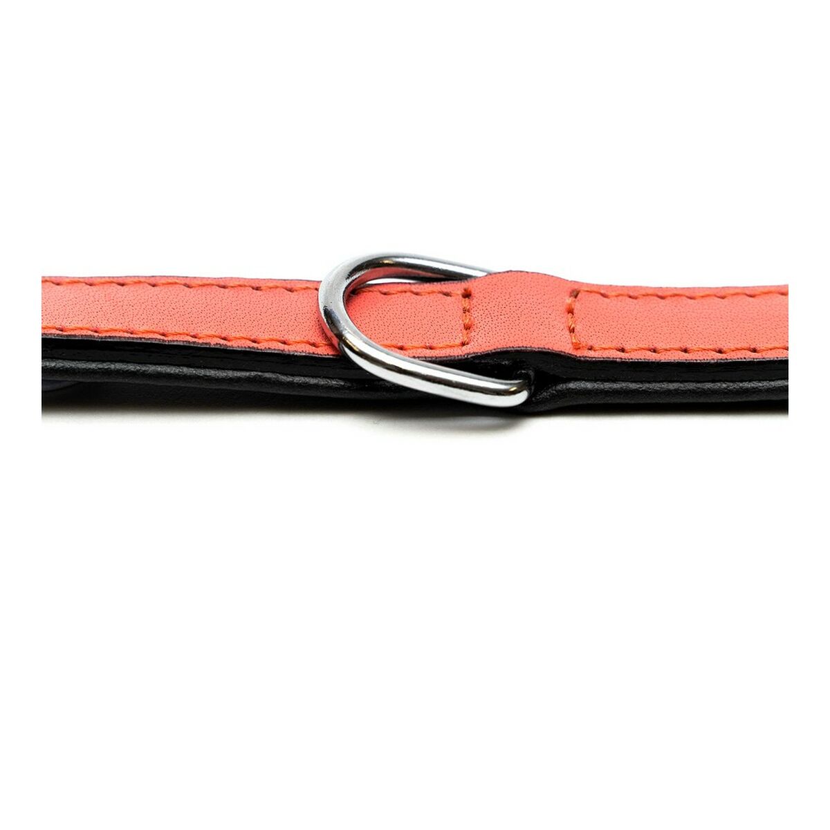 Hundhalsband Gloria Vadderad Korall (50 x 2,5 cm) - 10