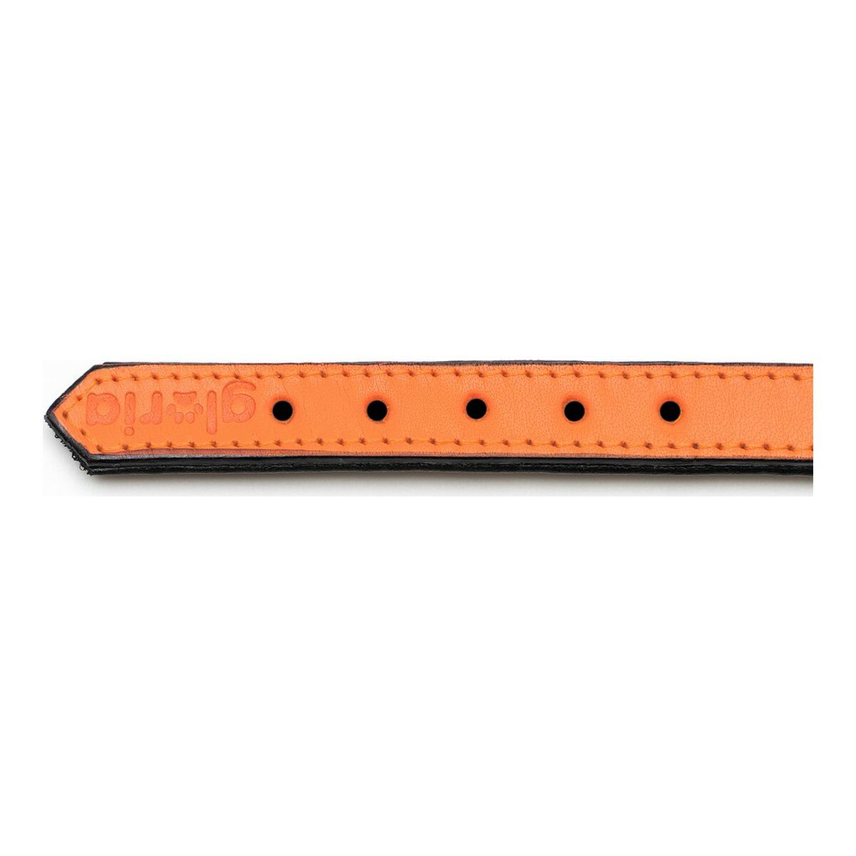 Hundhalsband Gloria Vadderad Orange (50 x 2,5 cm) - 19