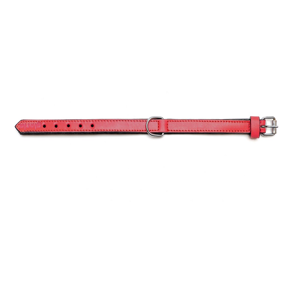 Hundhalsband Gloria Vadderad Röd 50 cm (50 x 2,5 cm) - 7
