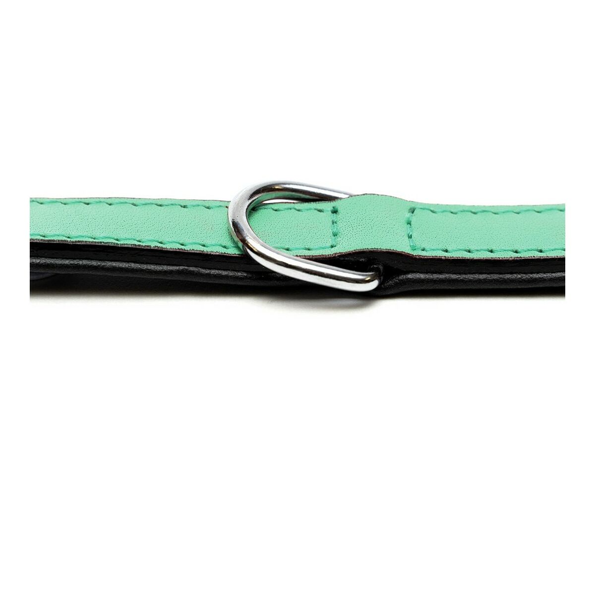 Hundhalsband Gloria Vadderad Grön (50 x 2,5 cm) - 20