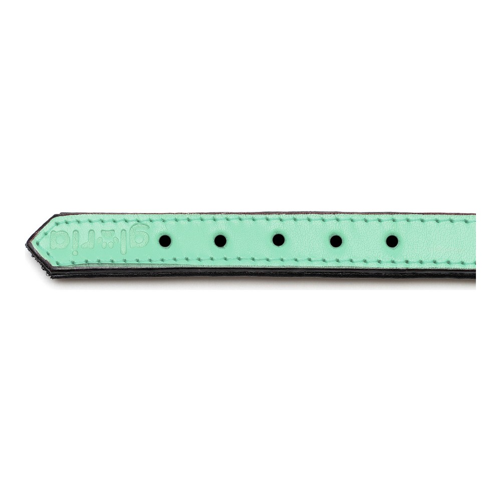 Hundhalsband Gloria Vadderad Grön (50 x 2,5 cm) - 2