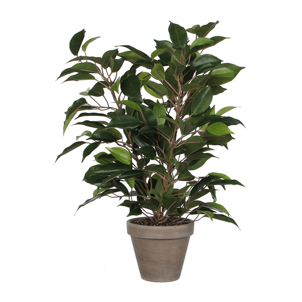 Dekorativ växt Mica Decorations 40 x 30 cm Keramik Grön PVC Fikon - 2