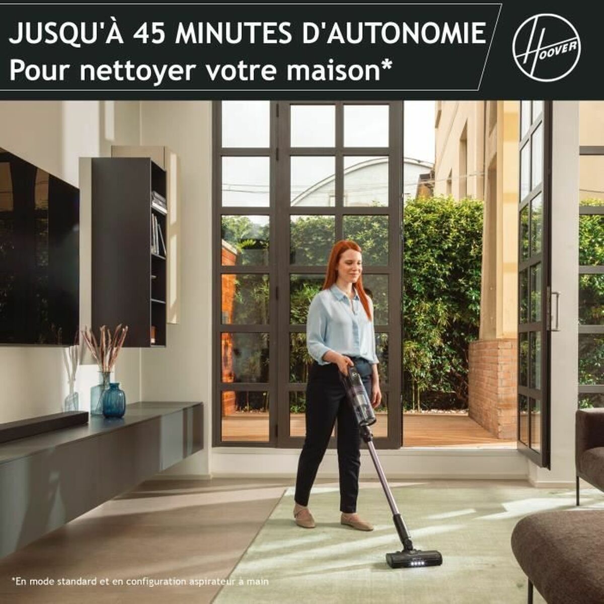 Dammsugarborste Hoover - 3