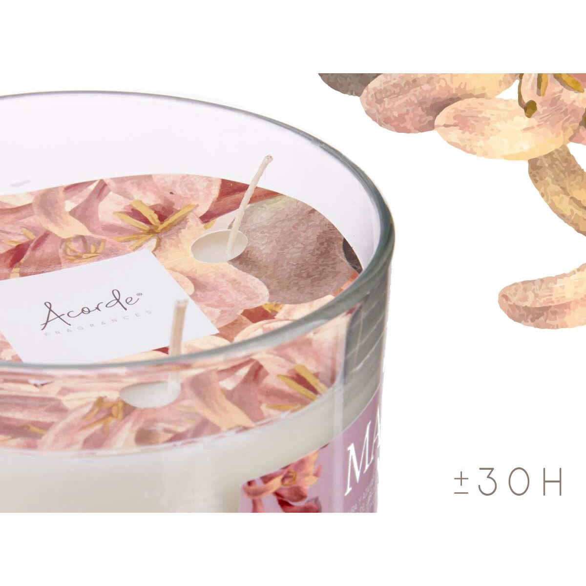 Doftljus Acorde Maylu 400 g (6 antal) - 4