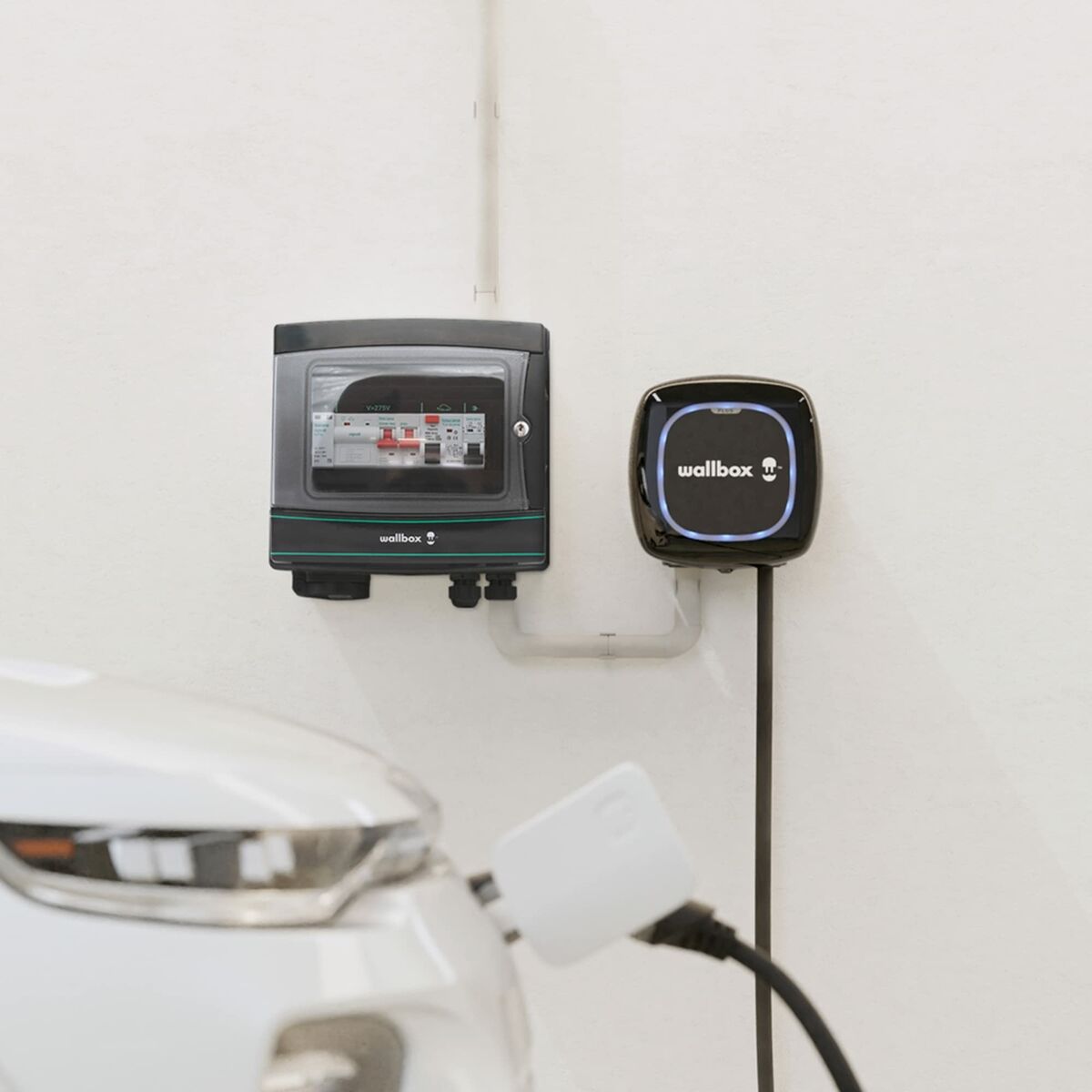 Skydd mot spänningstoppar Wallbox Fuse Box Pro  A+ MCB Curva - 8