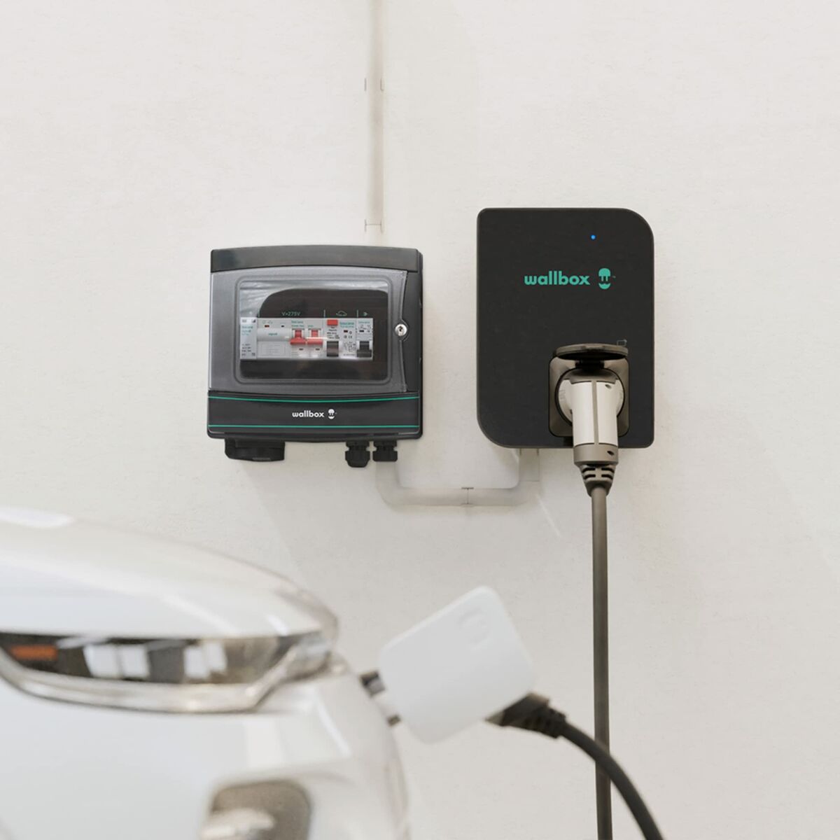 Skydd mot spänningstoppar Wallbox Fuse Box Pro  A+ MCB Curva - 6