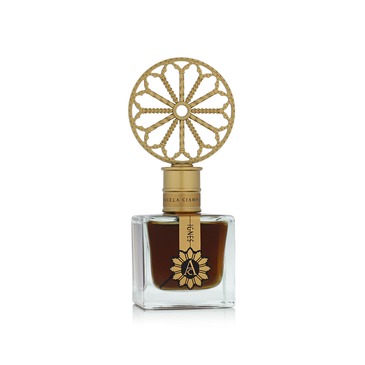 Parfym Unisex Angela Ciampagna Ignes 100 ml - 2