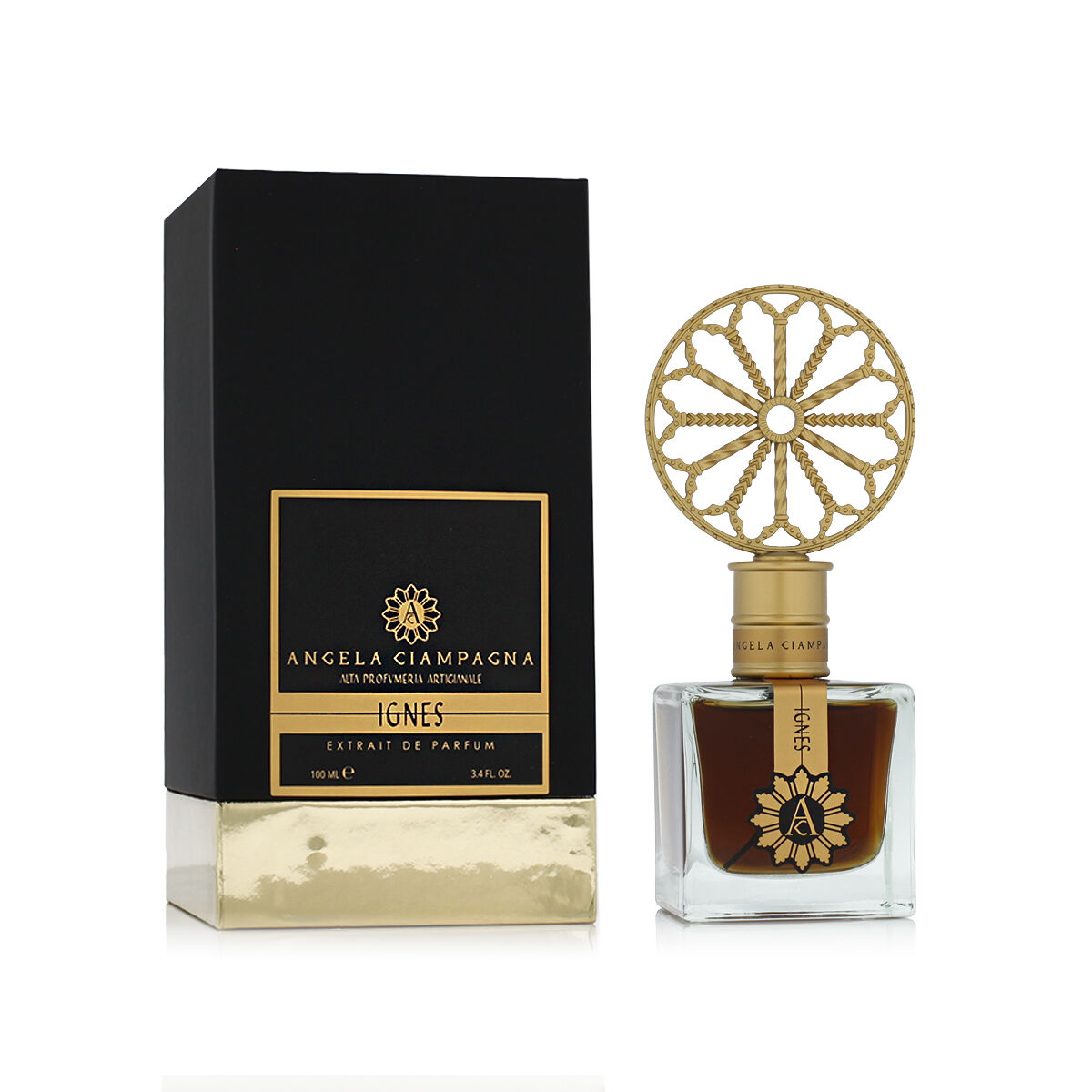 Parfym Unisex Angela Ciampagna Ignes 100 ml