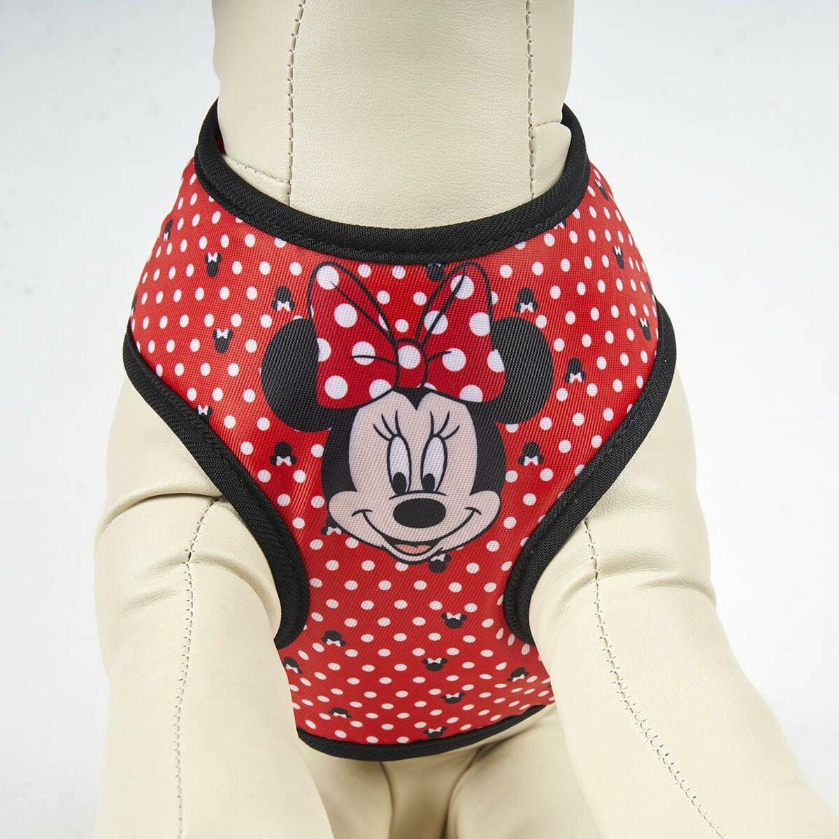 Hundsele Minnie Mouse XS - 6