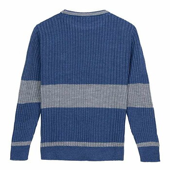 Tröja Herr Harry Potter Blå XS