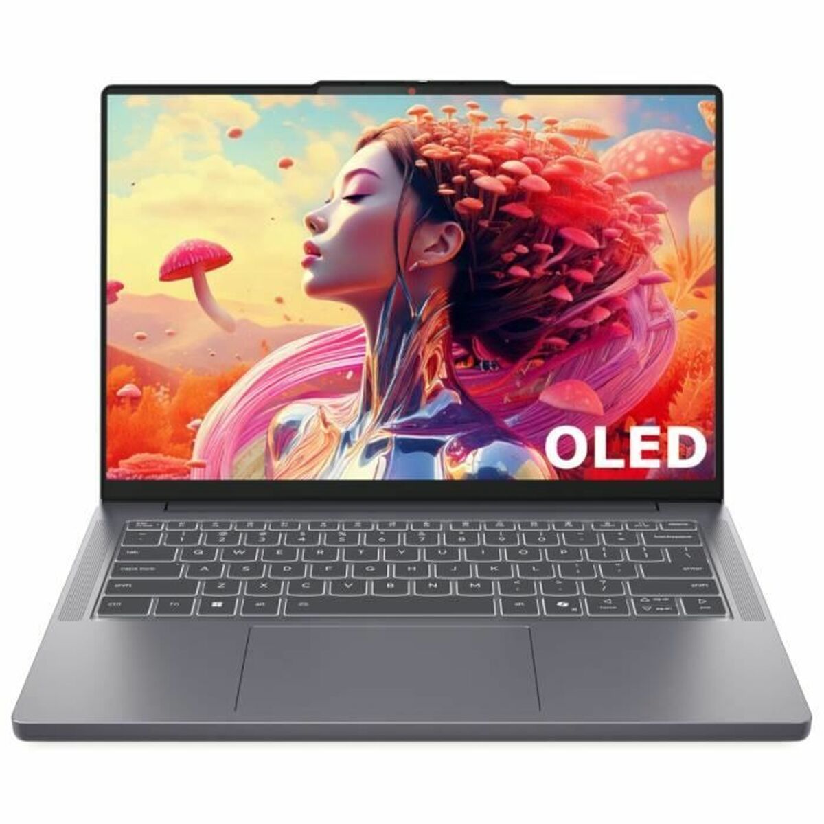 Bärbar dator Lenovo