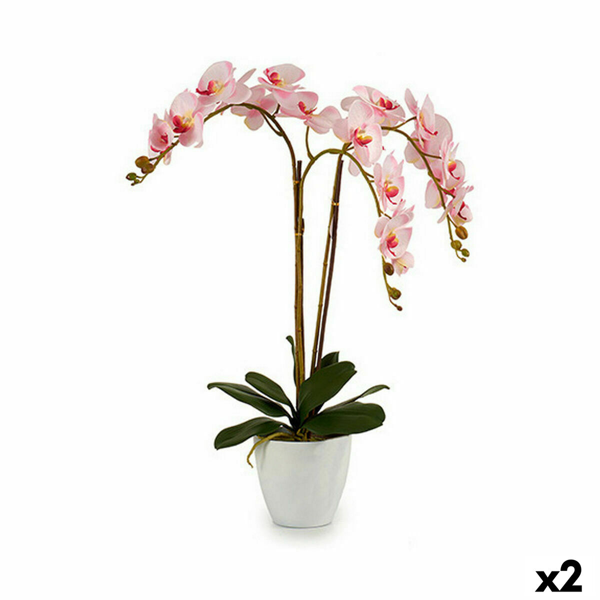 Dekorativ växt Ibergarden Plast Orkidé 40 x 77 x 35 cm 40 x 78 x 35 cm 40 x 78 x 44 cm (2 antal)