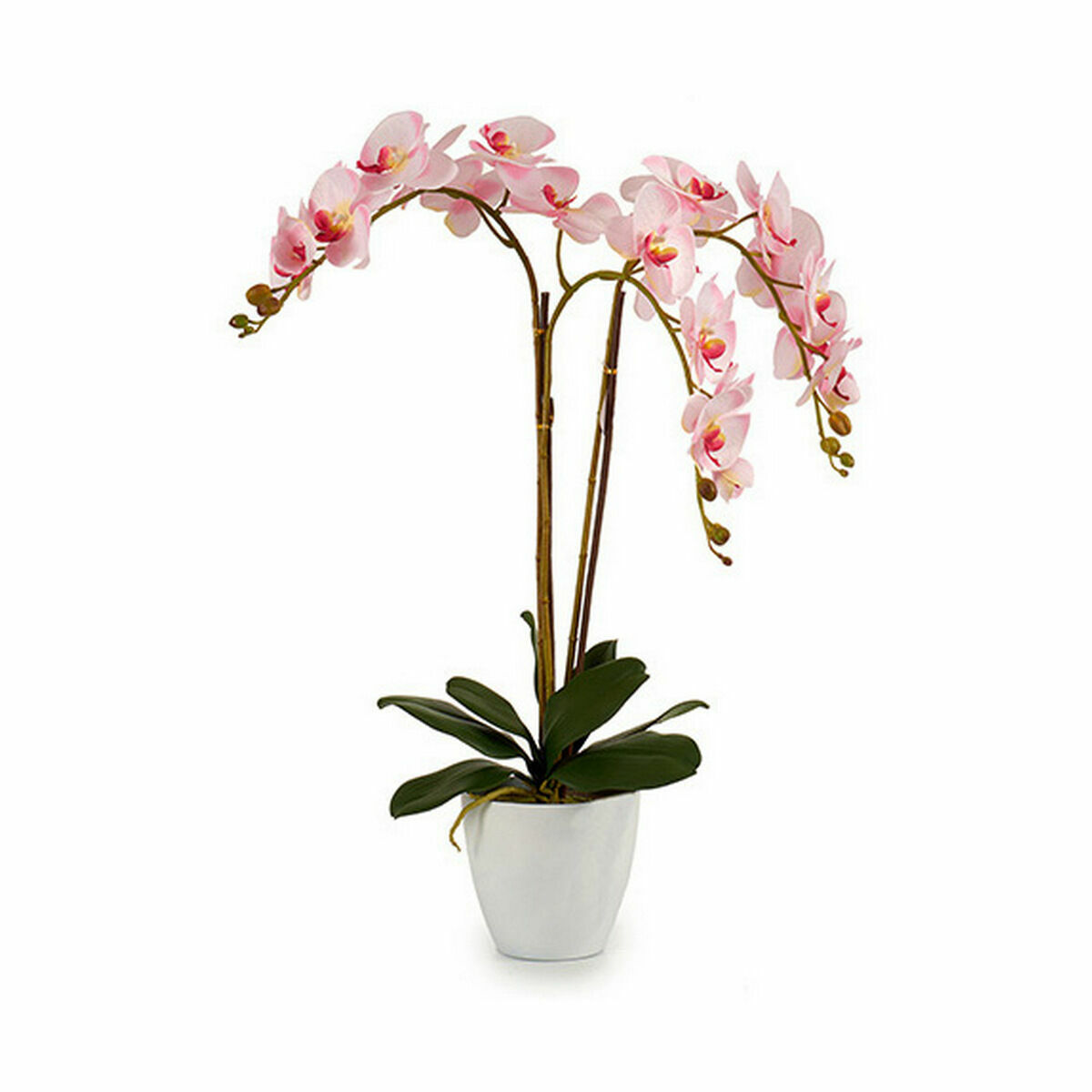 Dekorativ växt Ibergarden Plast Orkidé 40 x 77 x 35 cm 40 x 78 x 35 cm 40 x 78 x 44 cm (2 antal) - 2