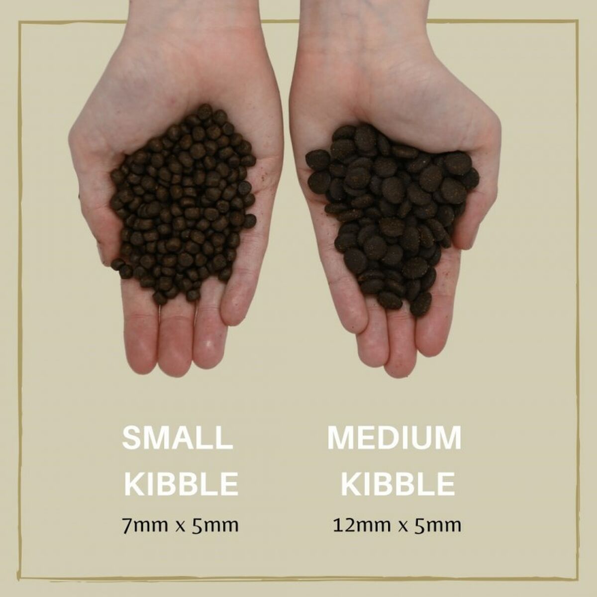 Foder EDEN 80/20 Medium kibble Lax 12 kg - 2