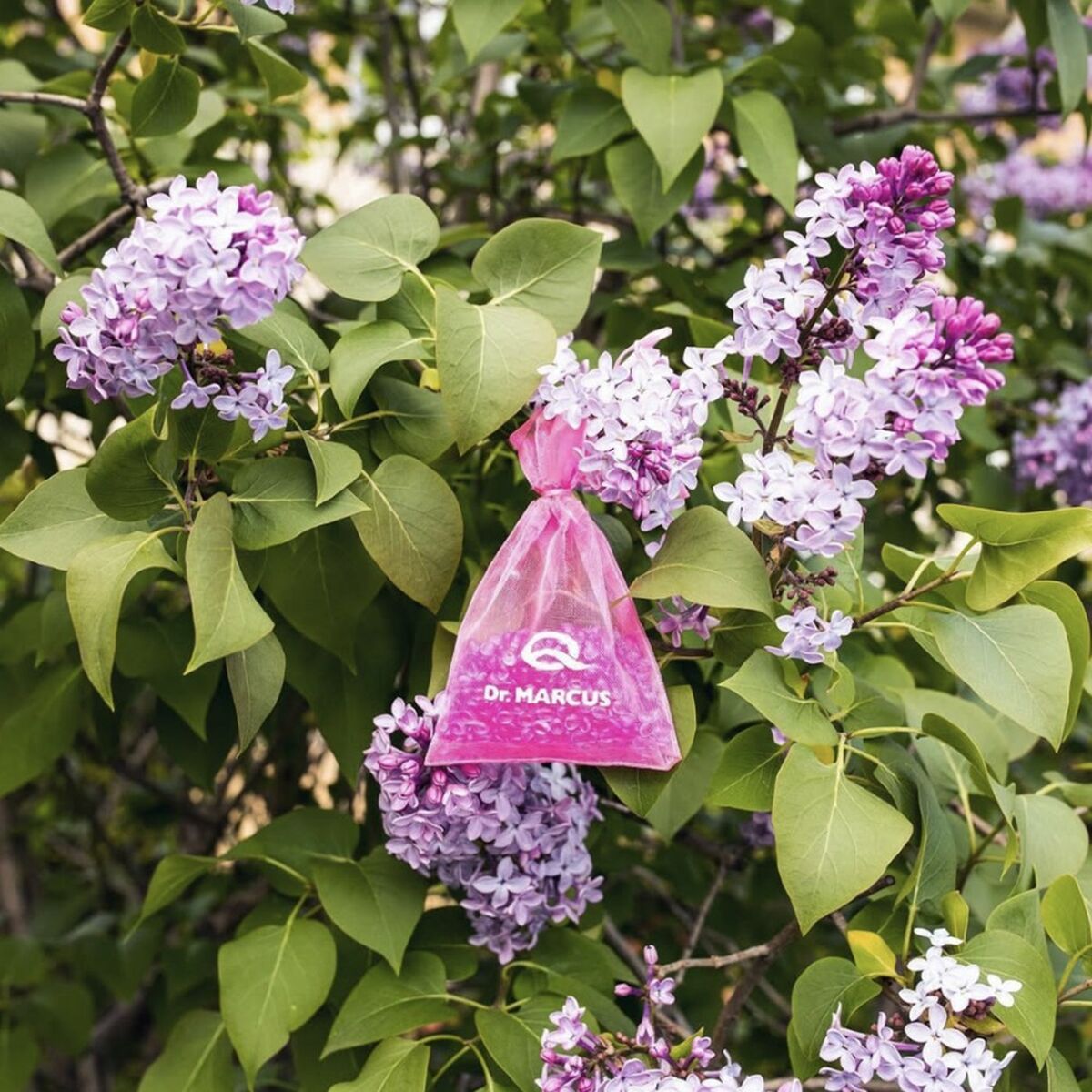 Billuftfreser Dr Marcus Fresh Bag Tuggummi Doft Liten påse/väska - 3