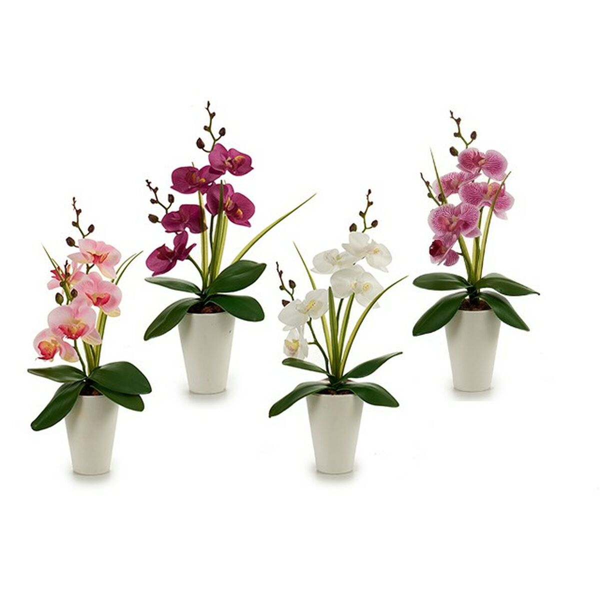 Dekorativ blomma Ibergarden Orkidé 14 x 35 x 8 cm (12 antal) - 2