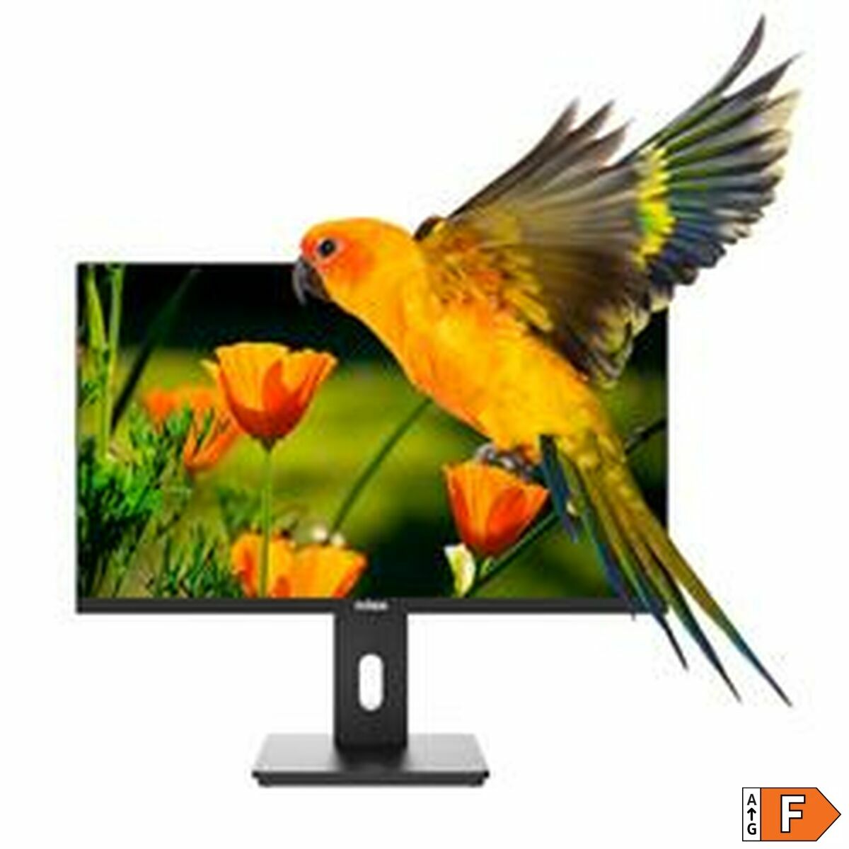 Monitor Nilox NXM24REG02 Full HD 24" 75 Hz - 4