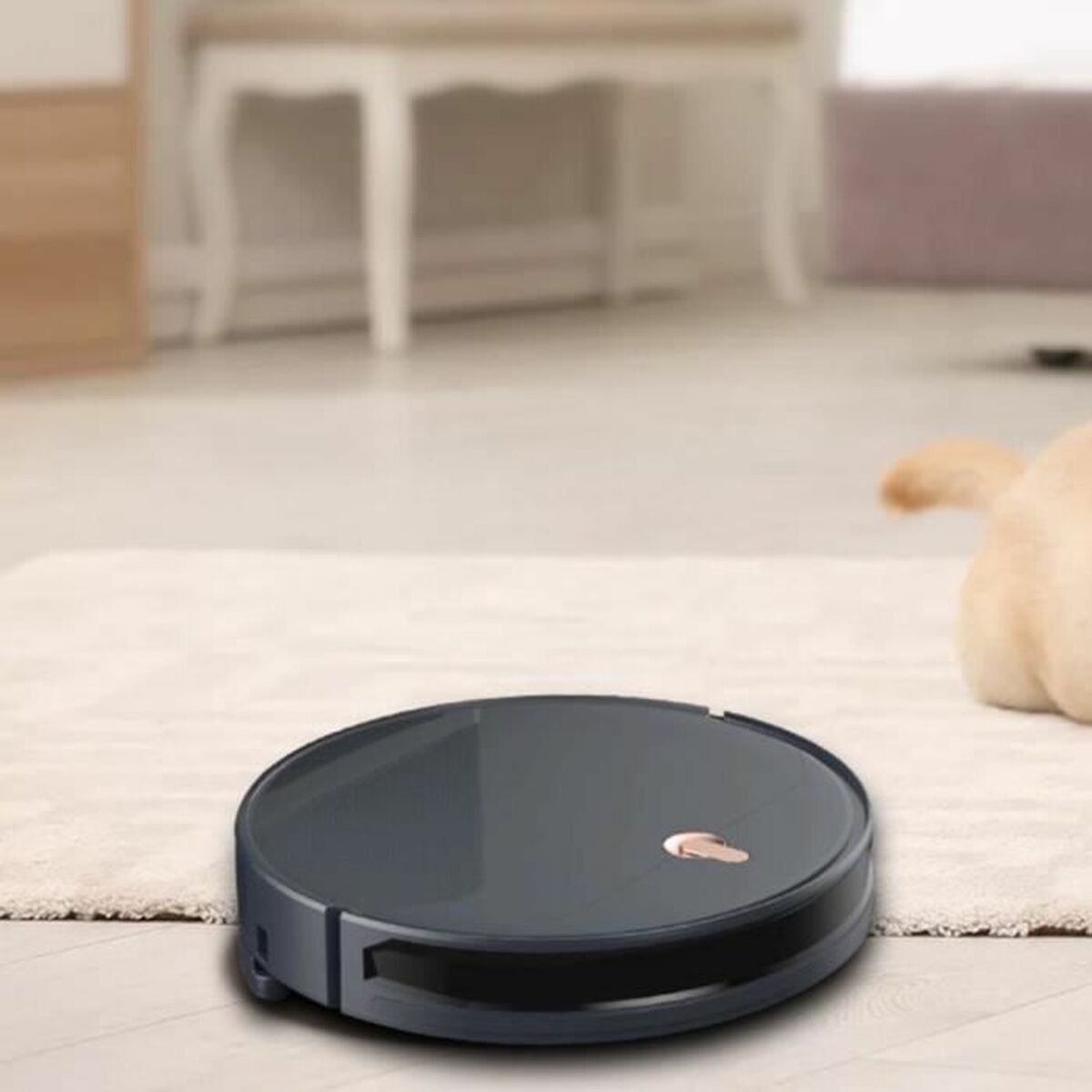 Robotdammsugare EZIclean I-Bot Z5 - 4