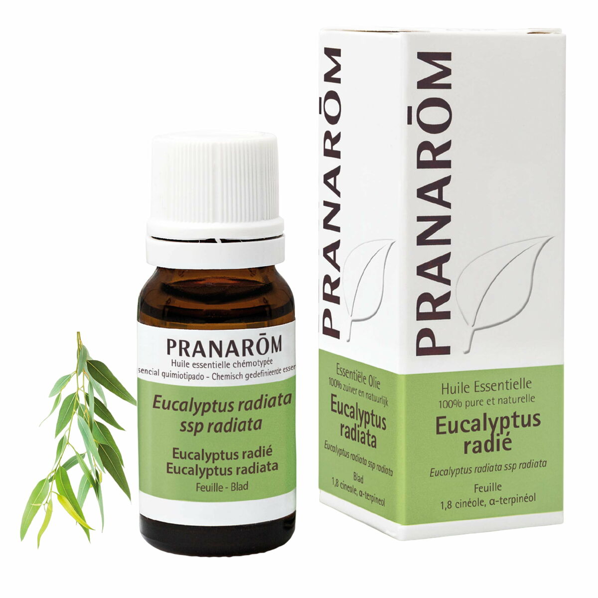Eterisk olja Pranarôm   10 ml Eukalyptus - 3