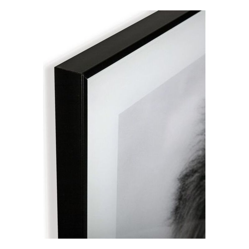 Tavla Versa Lejonet Glas 2 x 50 x 50 cm - 3