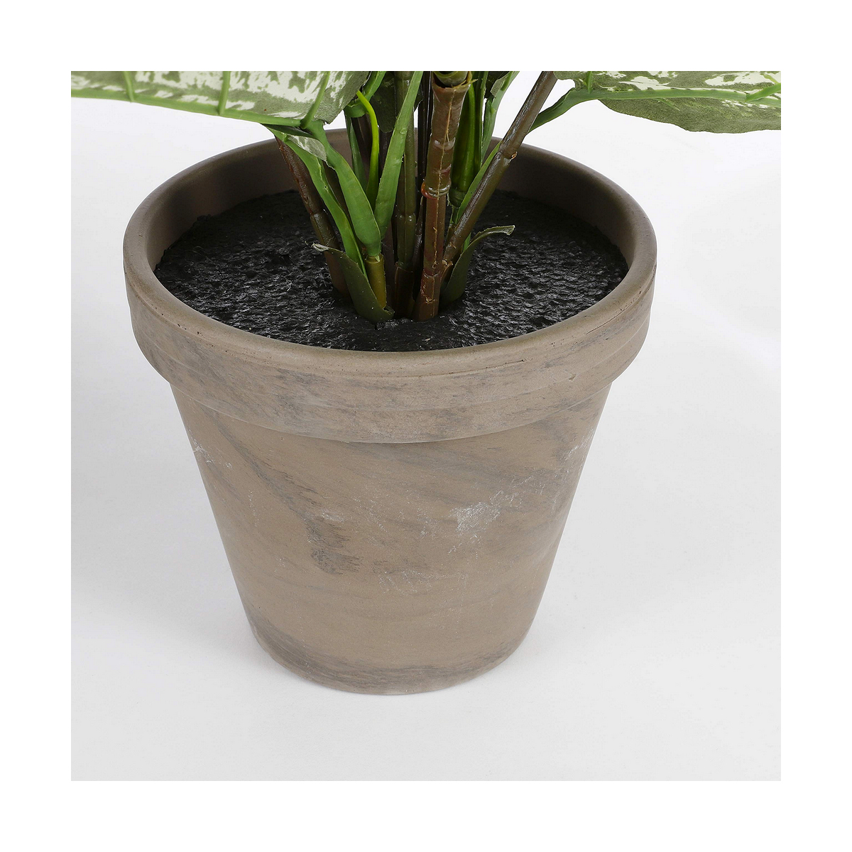 Dekorativ växt Mica Decorations Dieffenbachia Dieffenbachia Grön PVC (15,7 x 70 cm) - 3