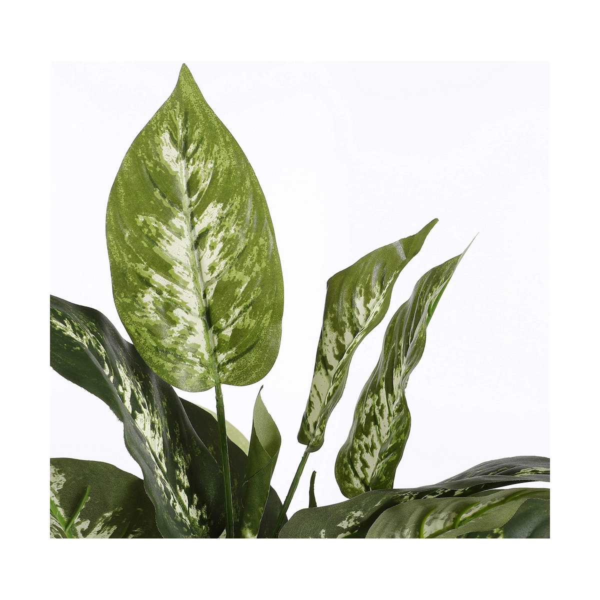 Dekorativ växt Mica Decorations Dieffenbachia Dieffenbachia Grön PVC (15,7 x 70 cm) - 2