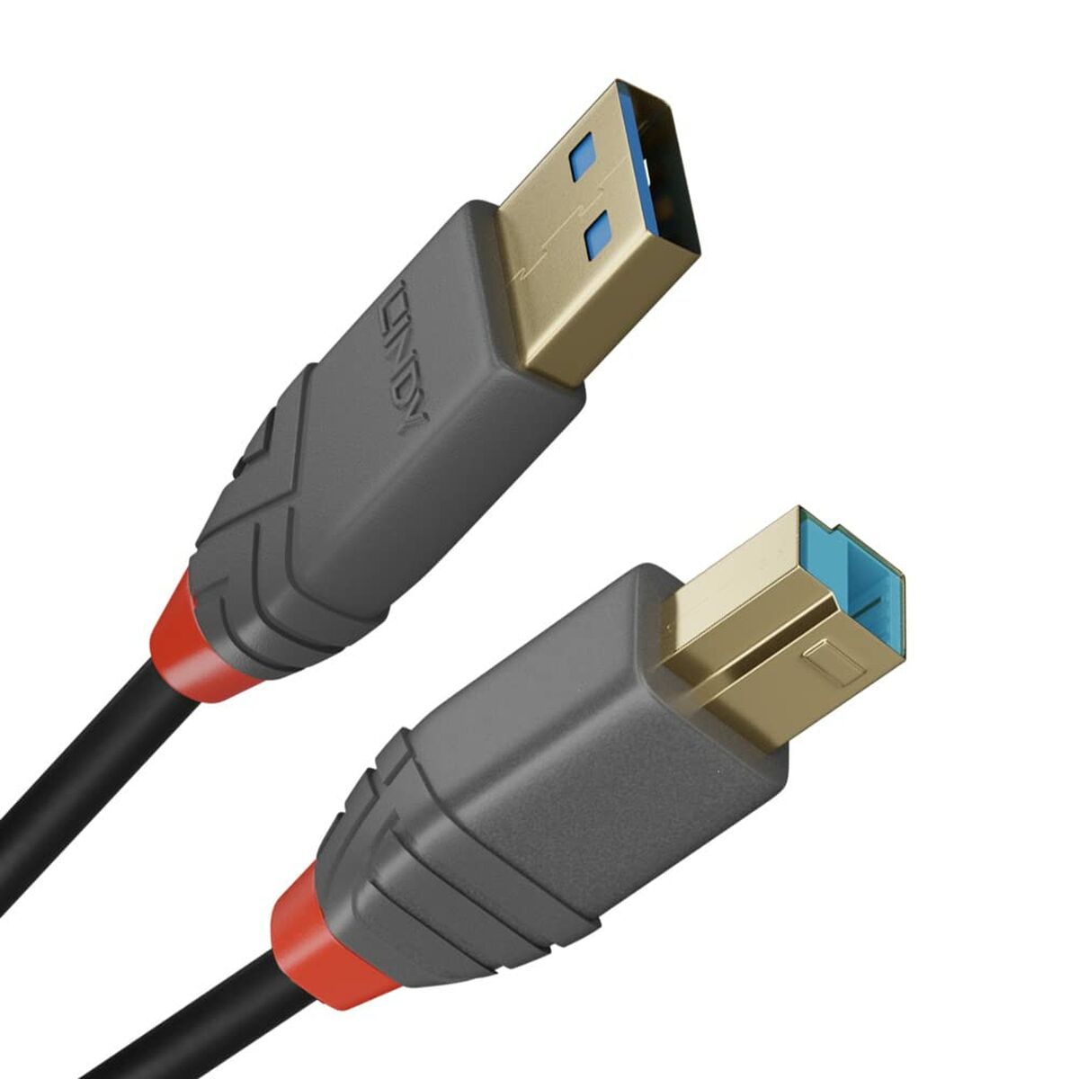 USB A till USB B Kabel LINDY 36741 1 m Svart