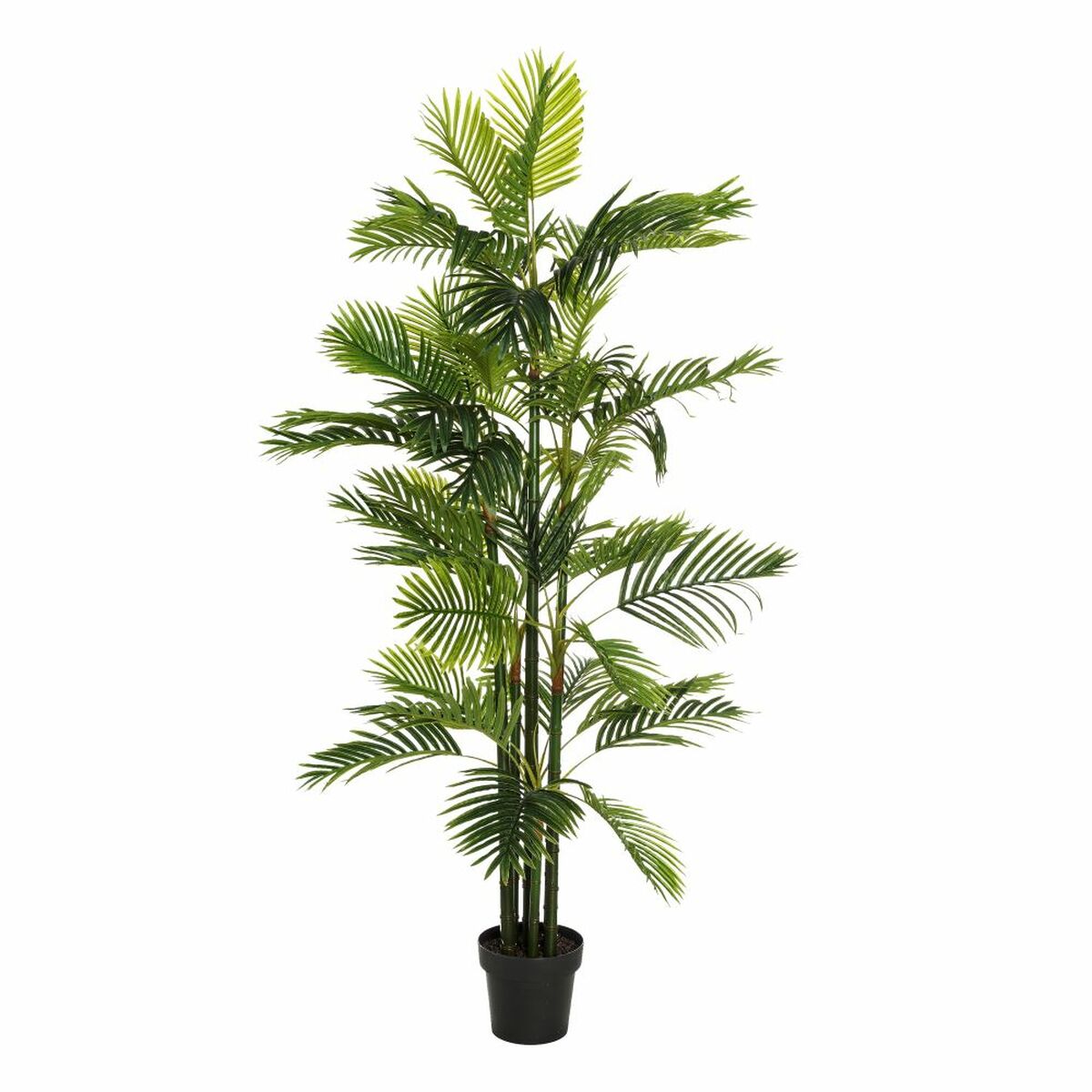Dekorativ växt Grön PVC 170 cm Palmträd