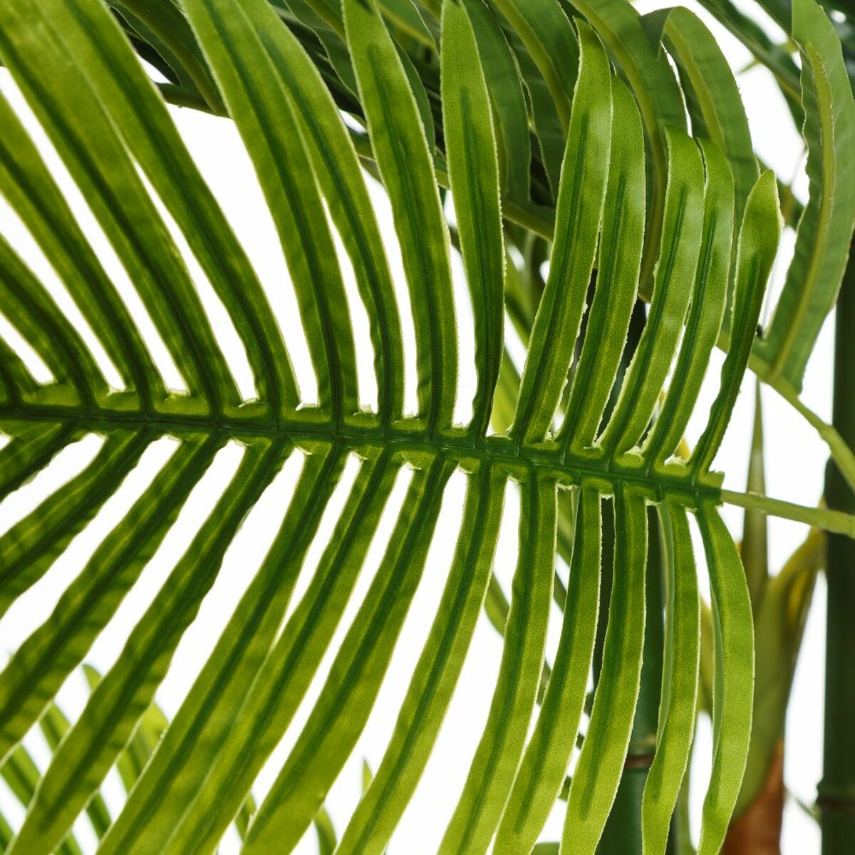 Dekorativ växt Grön PVC 170 cm Palmträd - 3
