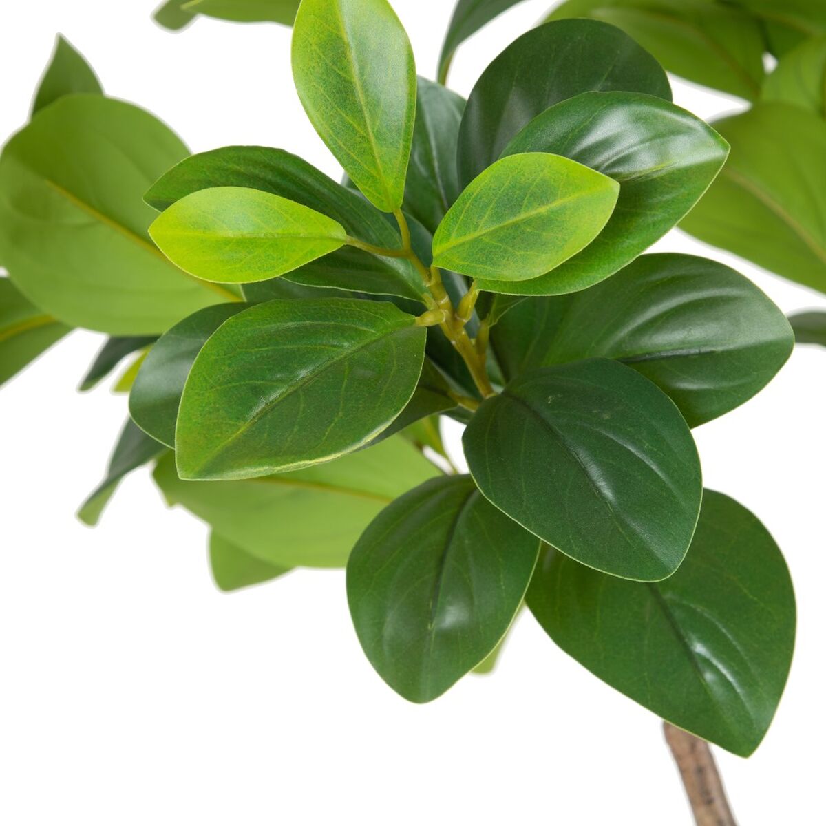 Dekorativ växt Grön PVC 145 cm Peperomia - 4