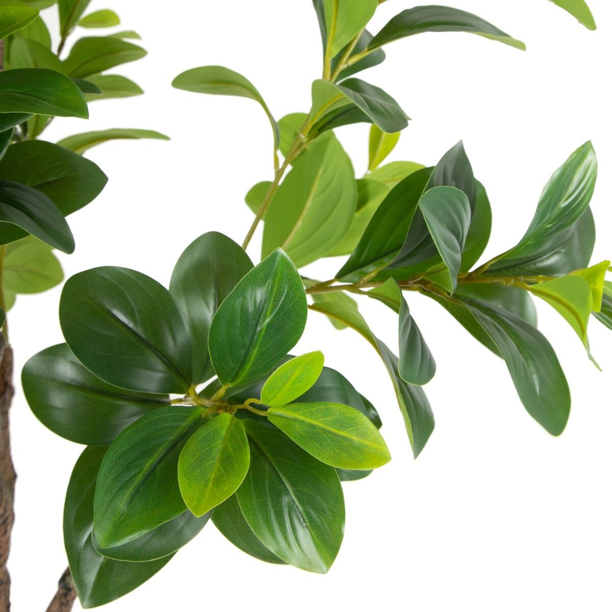 Dekorativ växt Grön PVC 145 cm Peperomia - 2