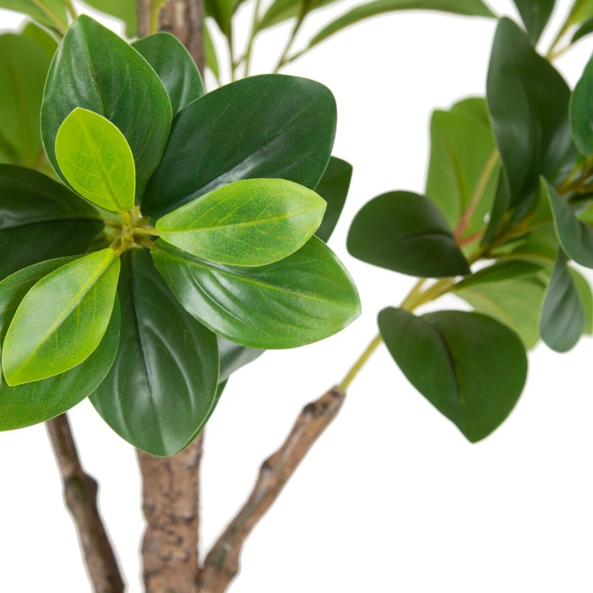 Dekorativ växt Grön PVC 145 cm Peperomia - 3