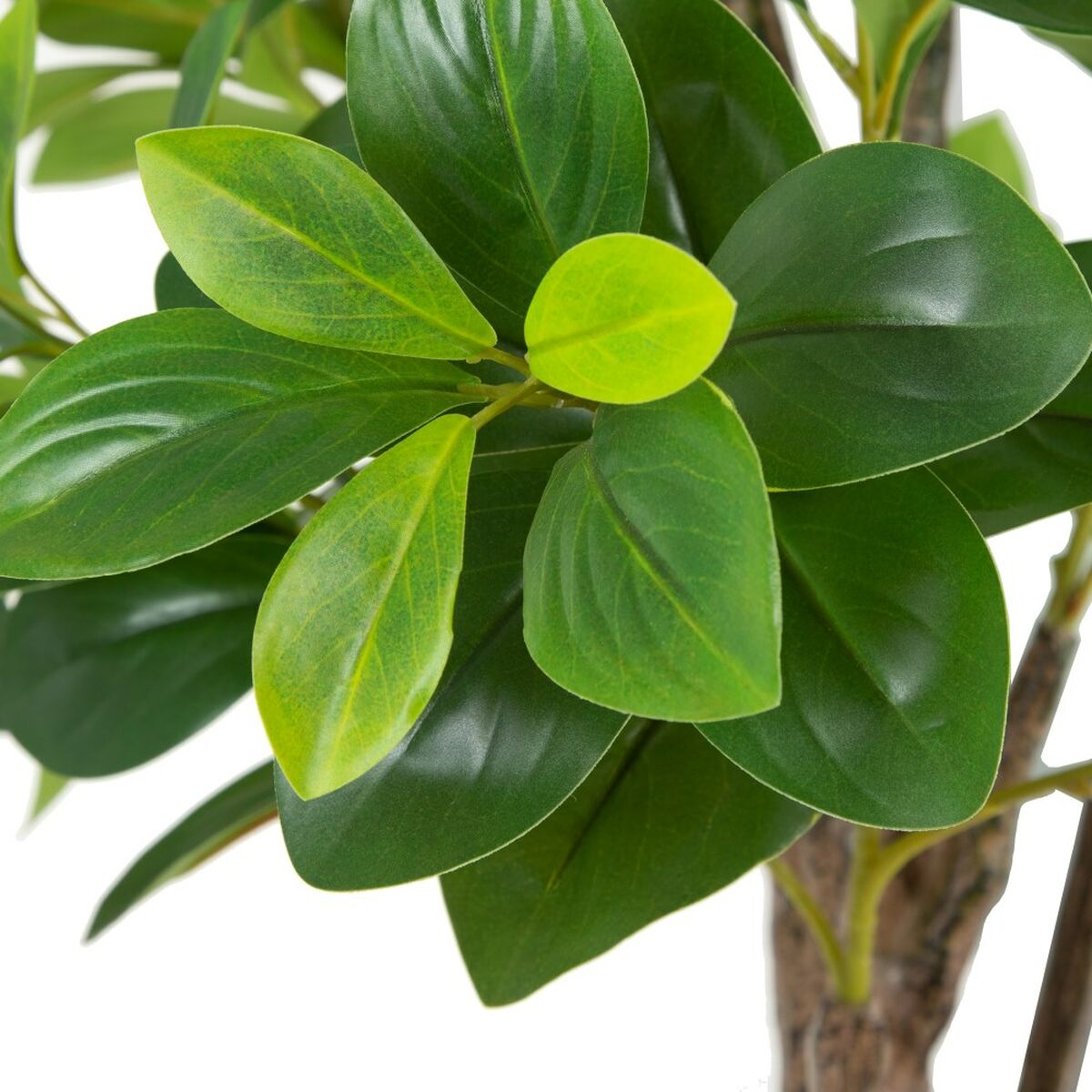 Dekorativ växt Grön PVC 145 cm Peperomia - 6