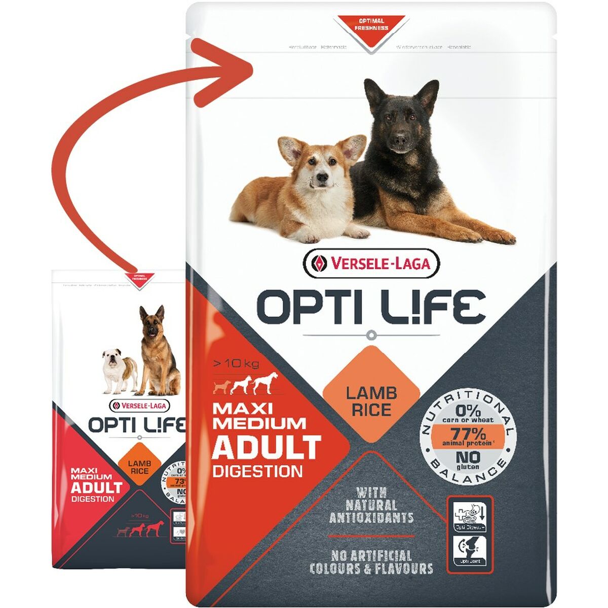 Foder Versele-Laga Adult Digestion Medium & Maxi Vuxen Lamm 12,5 Kg - 2