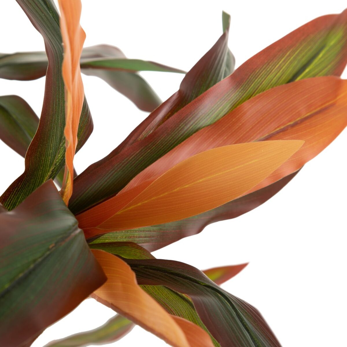 Dekorativ växt Dracaena Brun Grön PVC 140 cm - 4