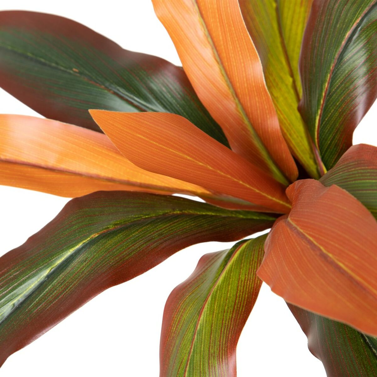 Dekorativ växt Dracaena Brun Grön PVC 140 cm - 2