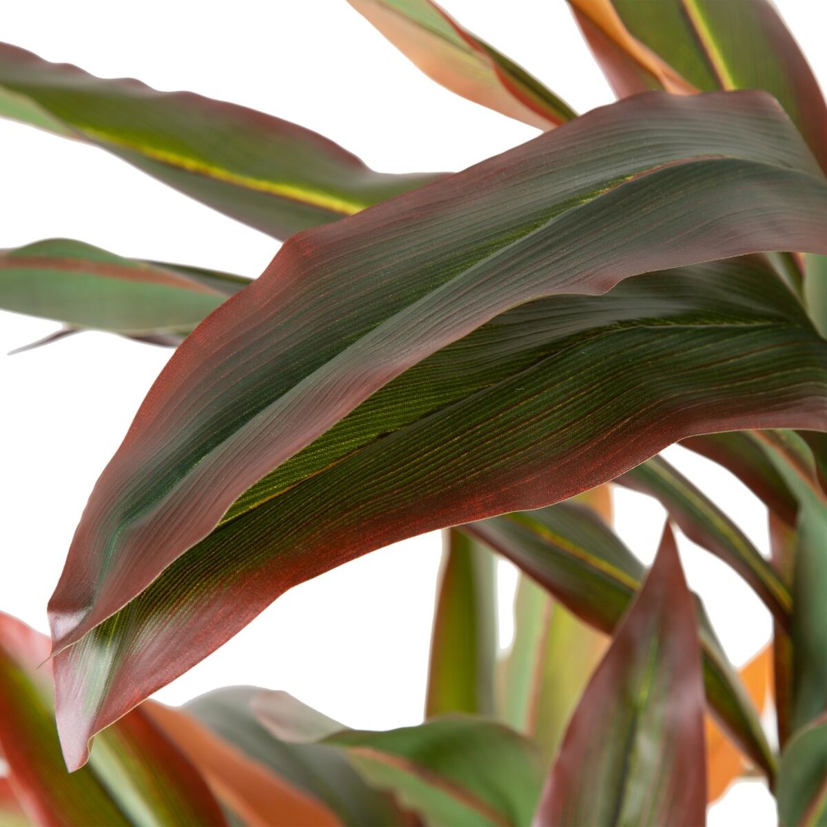 Dekorativ växt Dracaena Brun Grön PVC 140 cm - 5
