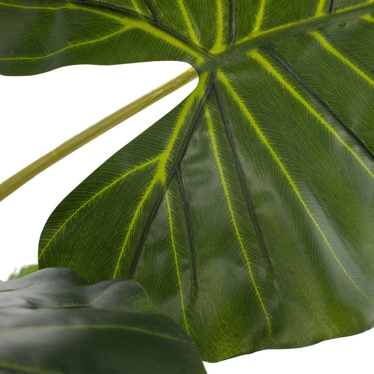 Dekorativ växt 80 x 90 x 140 cm Grön Philodendron - 3