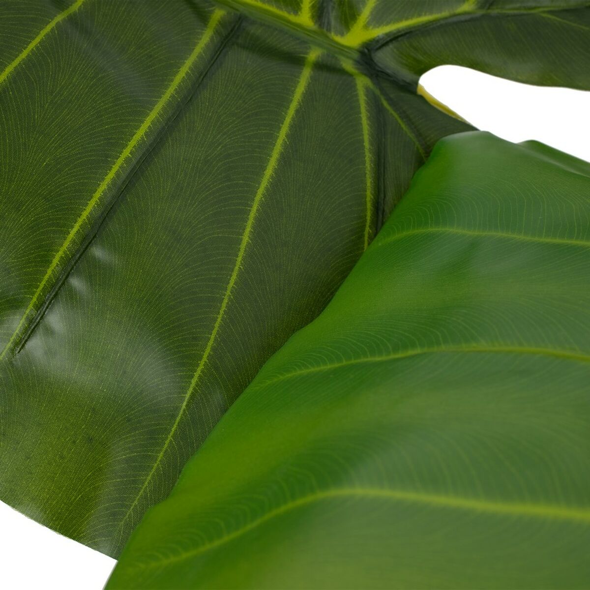 Dekorativ växt 80 x 90 x 140 cm Grön Philodendron - 4